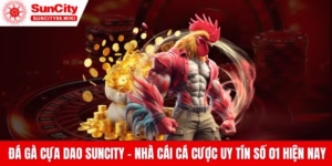 Đá gà cựa dao Suncity