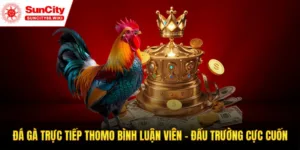 Đá gà trực tiếp thomo bình luận viên